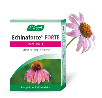 Echinaforce Forte Comprimés A.VOGEL