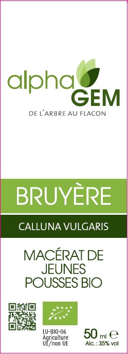 Bruyere ALPHAGEM