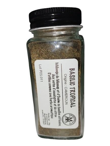 Basilic Tropical KOUKOUMA&CO