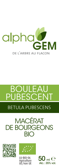 Bouleau Pubescent ALPHAGEM