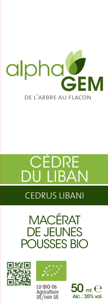 Cedre Du Liban ALPHAGEM
