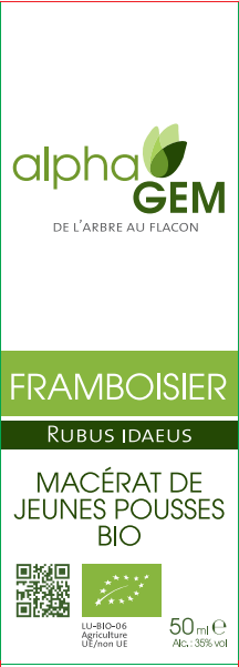 Framboisier ALPHAGEM