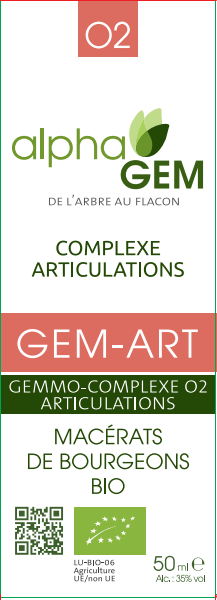 Gem-Art 50 ml ALPHAGEM