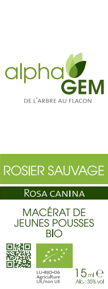 Rosier Sauvage ALPHAGEM