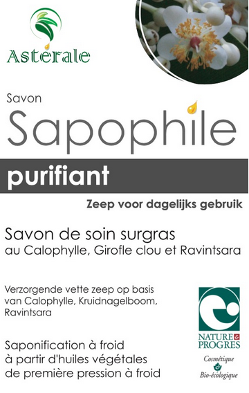 Savon Sapophile Purifiant ASTERALE