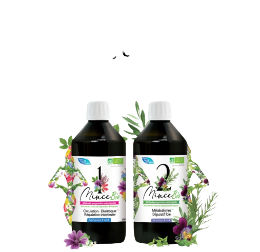 Mince 1 Et 2 Bio EURO SANTE DIFFUSION 