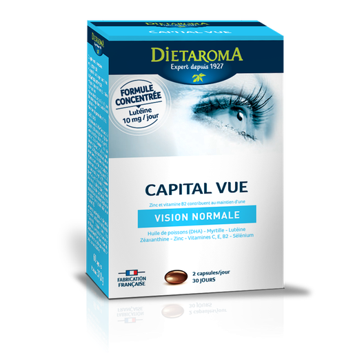 [2406] Capital Vue DIETAROMA