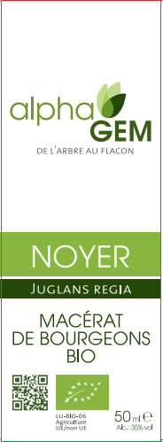 Noyer ALPHAGEM