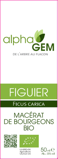 Figuier ALPHAGEM