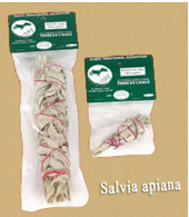 Baton de Sauge TERRE DE L'AIGLE