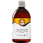 Silicium CATALYONS